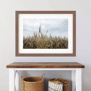 Great Plains Wheat Landscape Fine Art | Western Prairie Photography