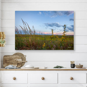 Wildflowers Fine Art Print - Farmhouse Decor