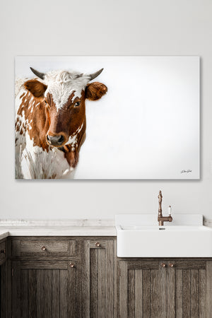 Longhorn cow calf wall decor – rustic Western fine art print by Debra Gail Fine Art