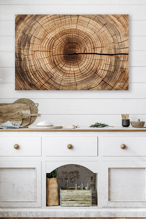 Natural tree rings wall art canvas print  – fine art photography