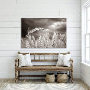 Rural Wheat Field Wall Art | Kansas Prairie Photography
