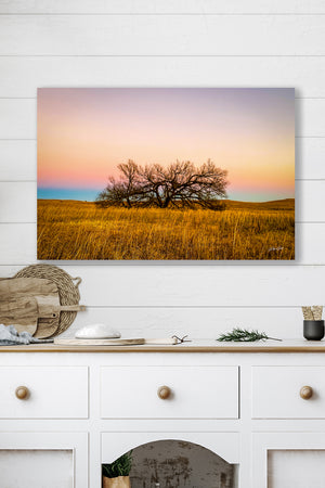 Kansas Flint Hills wall art – sunrise prairie landscape photography by Debra Gail Fine Art