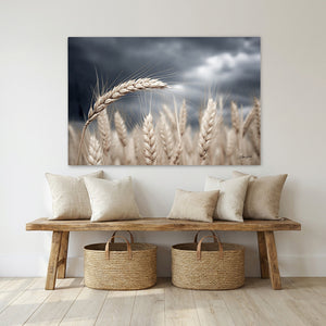 Kansas Wheat Field Wall Art | Great Plains Farm Photography