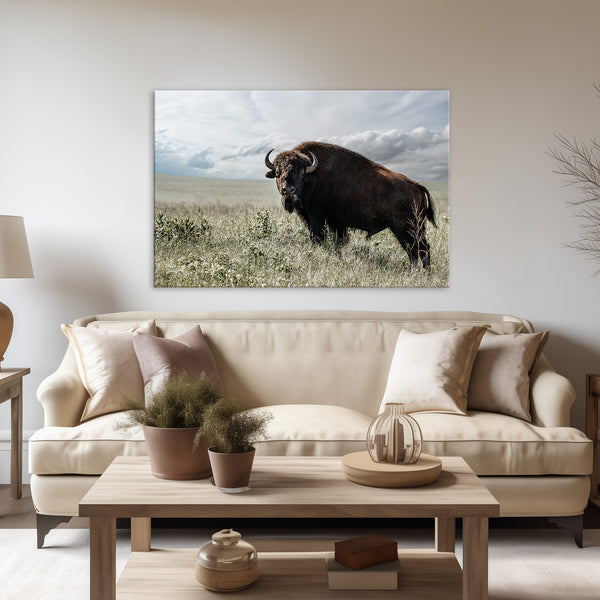 BIG BISON BULL ON THE PRAIRIE - RUSTIC WALL ART