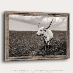 A black and white photograph of a horned bull standing in a grassy field.