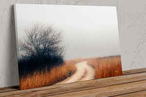 Foggy Flint Hills Dirt Road – Kansas Prairie Landscape