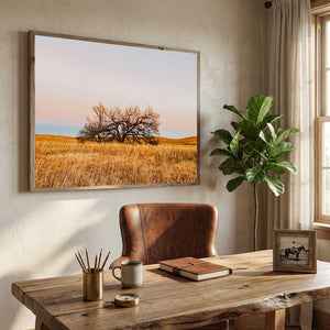 Great Plains Fine Art | Kansas Flint Hills Western Prairie Photography 