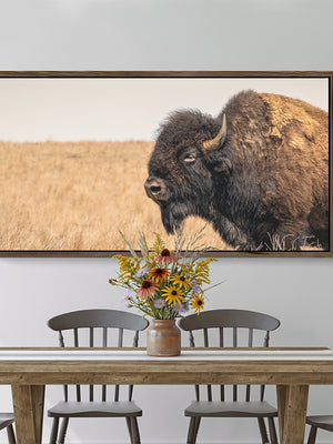 Framed bison canvas in a kitchen or dining room area by Debra Gail