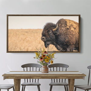 Framed bison canvas in a kitchen or dining room area by Debra Gail