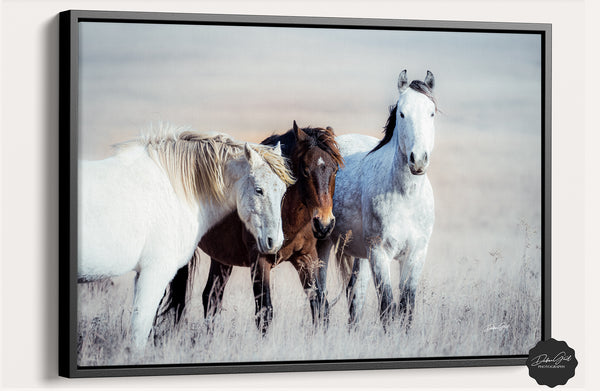 WILD HORSES PRINT - FLINT HILLS WALL ART