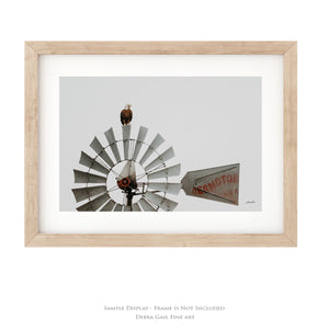 American bald eagle windmill rustic western wall art photography