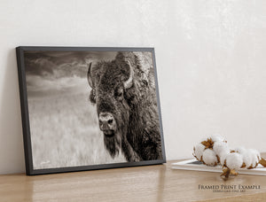 Western Bison Art | Rustic Farmhouse Bison Wall Decor - Buffalo Canvas Print