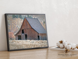 Rustic Idaho Barn Wall Art | Vintage Farmhouse Decor Photography Print