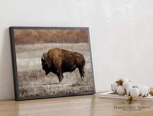 Rustic Bison Wall Art | Buffalo Canvas Print Western Farmhouse Decor