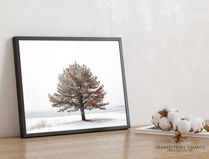 Winter Solitude | Flint Hills Kansas Landscape Wall Art