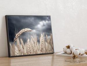 Kansas Wheat Field Wall Art | Great Plains Farm Photography