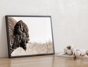 Neutral Bison Wall Art - Rustic Western Decor | Prairie Wildlife Canvas Print