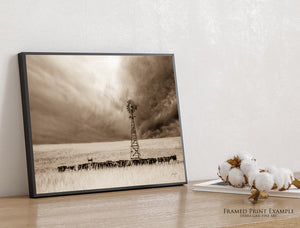 Black Angus Canvas Wall Art | Nebraska Windmill Print Farmhouse Decor