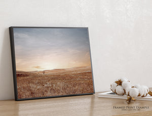 Kansas Lone Tree Wall Art | Endless Sky Flint Hills Prairie Canvas