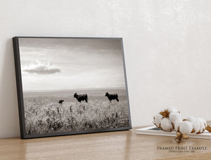 Black Angus Cattle Ranch Wall Art | Neutral Rustic Landscape Decor