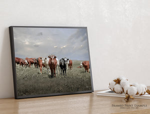 Cattle Art Print | Farmhouse Cattle Canvas - Rustic Farmhouse Wall Art Decor