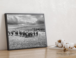 A framed black and white landscape photograph of Black Angus Cattle. 