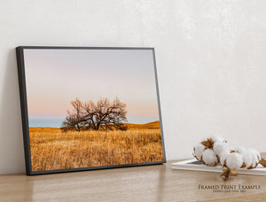 Great Plains Fine Art | Kansas Flint Hills Western Prairie Photography 