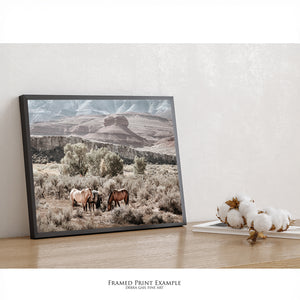 Wild Horses Photography | Heritage Pryor Mountain Horses Band