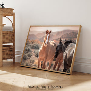 Wild Horses of the Pryor Mountains | Wild Horse Fine Art Photography