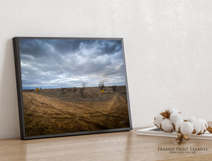 Flint Hills Country Road Wall Art | Kansas Prairie Landscape