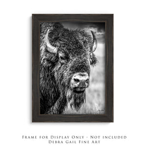 Vertical Bison Canvas Wall Art | Western Black and White Wildlife