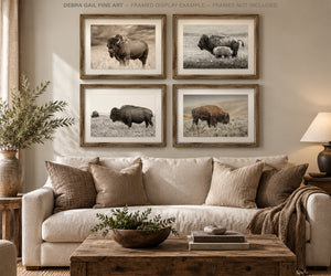 Bison Wall Art Photography — Set of 4