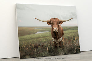 Texas Longhorn Wall Art – Rustic Western Farmhouse Cattle Print by Debra Gail