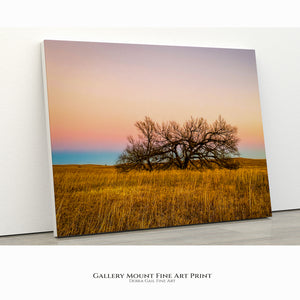 Flint Hills Kansas Lone Tree at Sunset | Rustic Wall Art