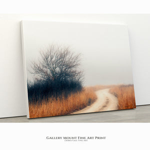 Foggy Flint Hills Dirt Road – Kansas Prairie Landscape