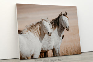 Two Mustangs Horse Wall Art - Flint Hills Kansas