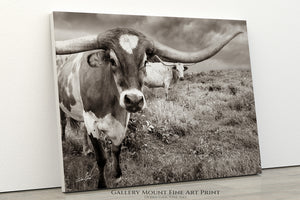 Longhorn Wall Art - Large Texas Longhorn Print | Rustic Farmhouse Decor Canvas