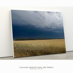 Oat Field Art Print – Kansas Country Landscape Canvas