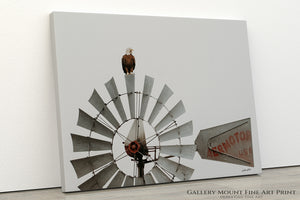 Bald eagle rural Americana windmill minimalist fine art print