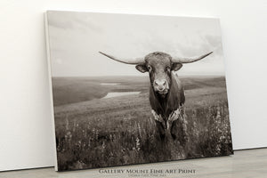Texas Longhorn Wall Art - Rustic Western Cattle Print on Archival Quality Paper