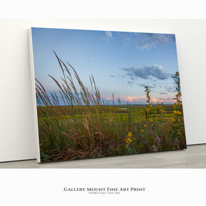 Wildflowers Fine Art Print - Farmhouse Decor