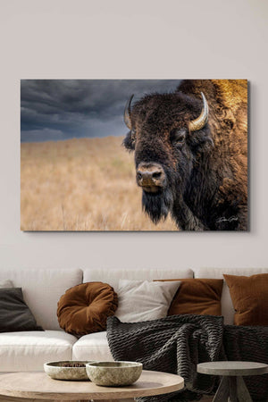 Buffalo White Spiritial Bison wall art canvas – fine art print by Debra Gail Fine Art