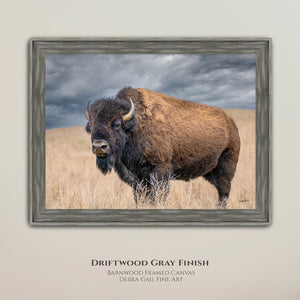 Buffalo Wall Art - Rustic Bison Prairie Framed, Canvas, Barnwood Framed