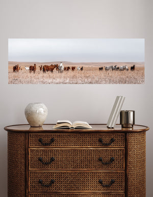 Wild Horse Herd Panoramic Wall Art | Flint Hills Prairie Landscape Canvas