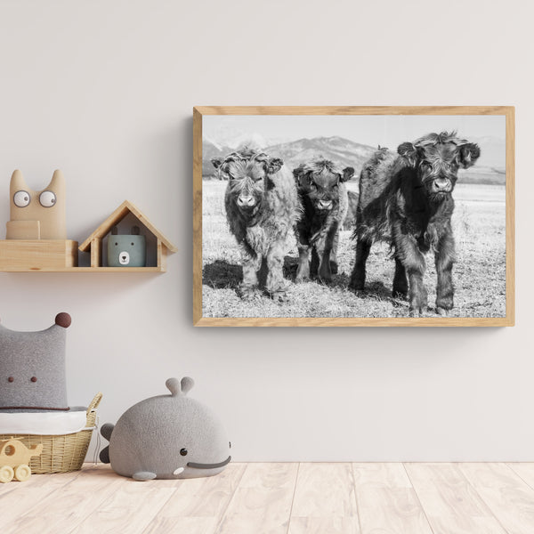 NURSERY WALL ART - CUTE SCOTTISH HIGHLAND COW PRINT