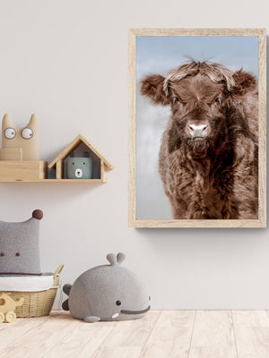 Highland cow wall art – farmhouse decor fine art photography by Debra Gail Fine Art