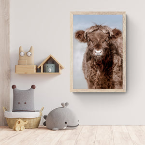 Highland cow wall art – farmhouse decor fine art photography by Debra Gail Fine Art