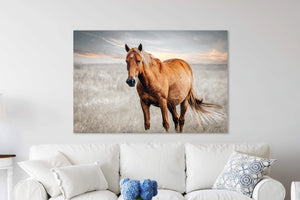 Palomino Horse Wall Art | Western Horse Photography | Debra Gail Fine Art