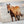 Horse canvas western wall art decor
