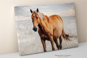 Horse canvas western wall art decor

